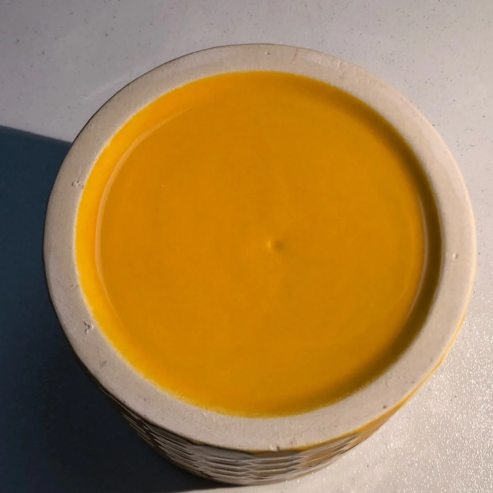 Yellow Bee Ceramic planter pot pencil holder trinket holders